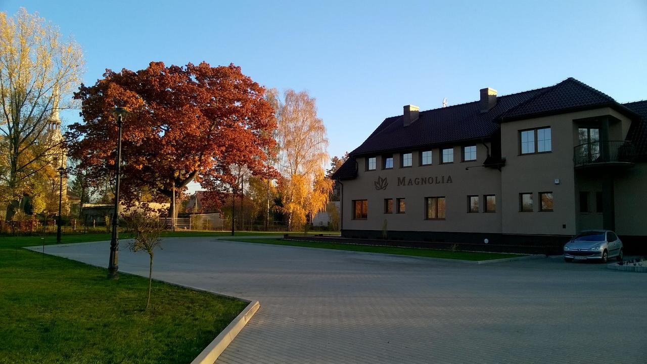 Magnolia- Goscinne * Zgorzelec